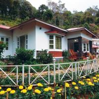 2 Days 1 Nights munnar Tour Package