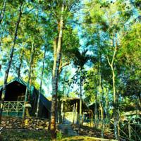 Discover Kerala 4 Night 5 Days