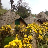 special offers 4days 3night Nainital