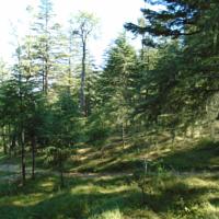 Adventure Tour Package for 2 Days 1 Nights