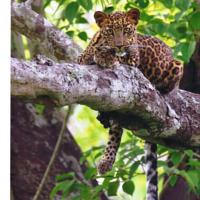 Adventure Tour Package for 2 Days