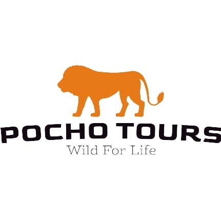 pocho Tours