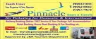Pinnacle Tours n Travels