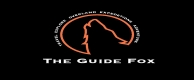 The Guide Fox