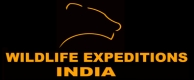 Wildlife Expeditions India