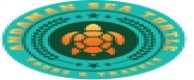 Andaman Sea Turtle Tours