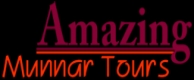Amazing munnar tours