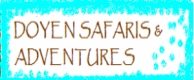 Doyensafaris