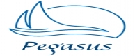 Pegasus Travels and Cabs Services