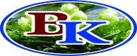 B K Tour and Travel