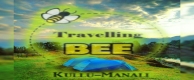 Travelling Bee