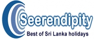 seerendipitt tours