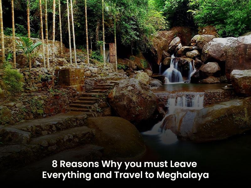 8 Reasons Why You Must Leave Everything And Travel To Meghalaya