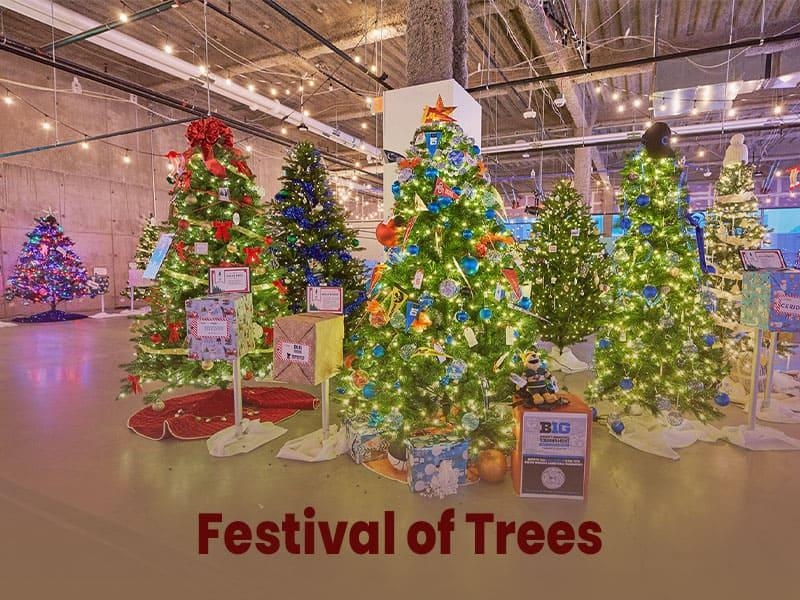 Festival Of Trees