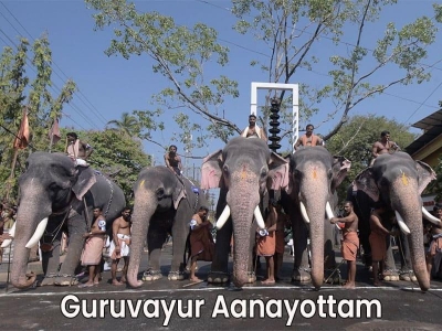 Guruvayur Aanayottam 2025