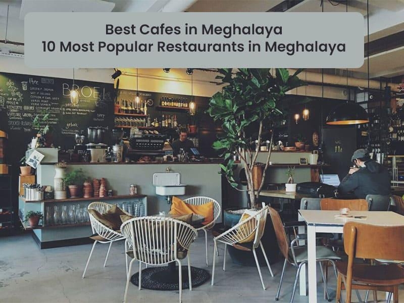 Best cafes in Meghalaya- 10 Most Popular Restaurants in Meghalaya