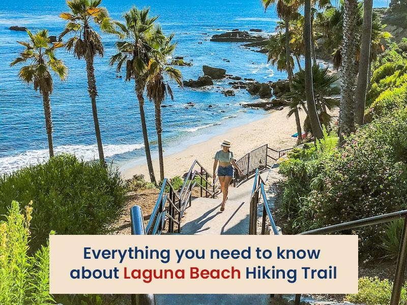 Everything you need to Know about Laguna Beach Hiking Trail