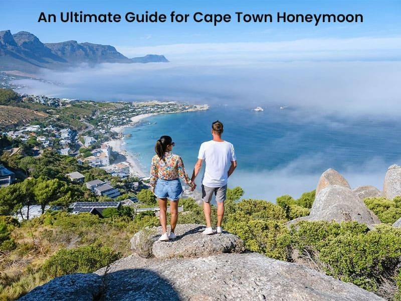An Ultimate Guide For Cape Town Honeymoon