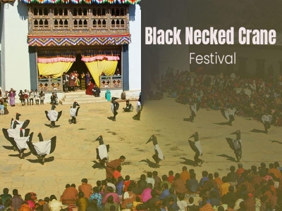Black Necked Crane Festival 2026
