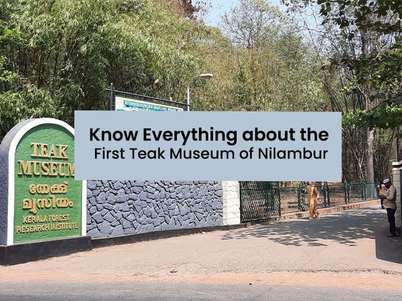 Know everything about the first teak museum of Nilambur