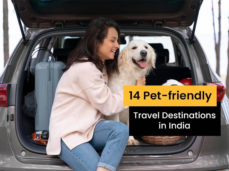 14 Pet-friendly Travel Destinations in India