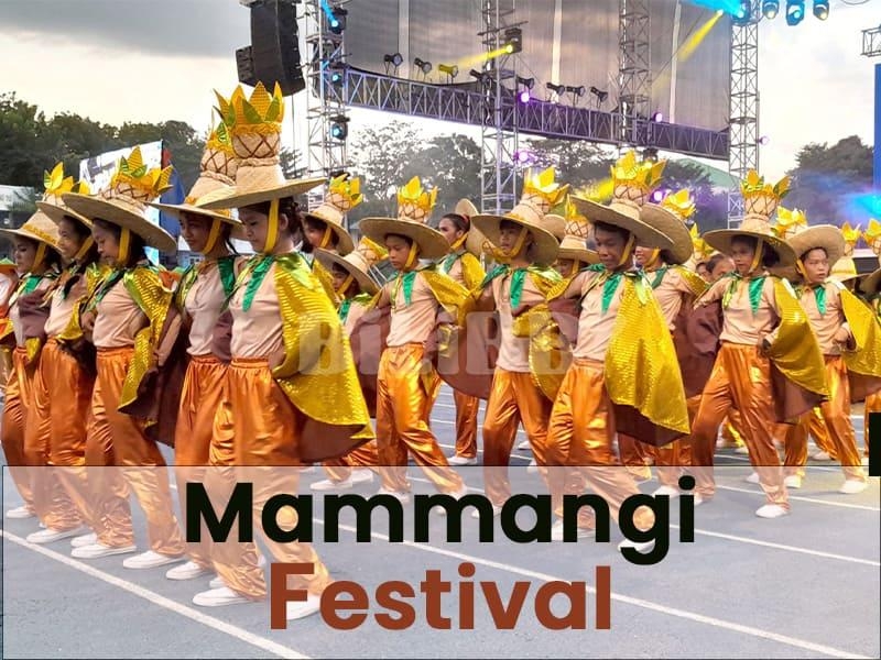 Mammangi Festival