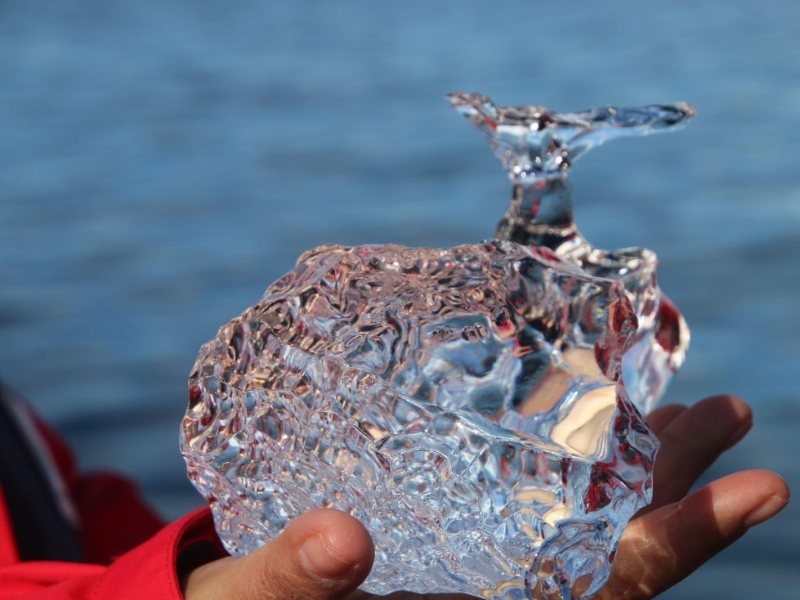 Antarctica Trip Packages