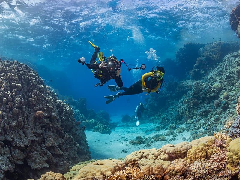 Scuba Diving Trip Packages