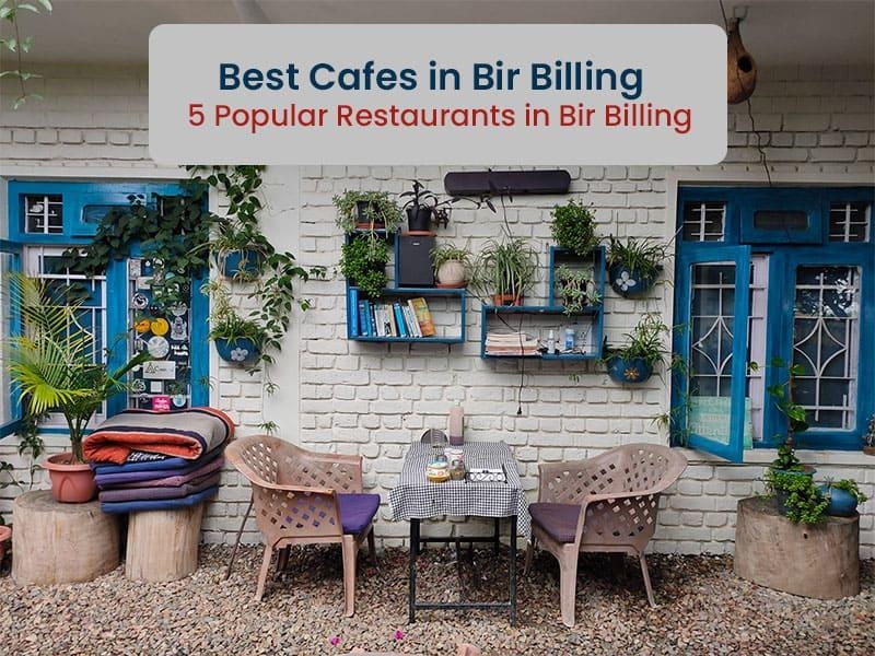Best cafes in Bir Billing  - 5  popular restaurants in Bir Billing