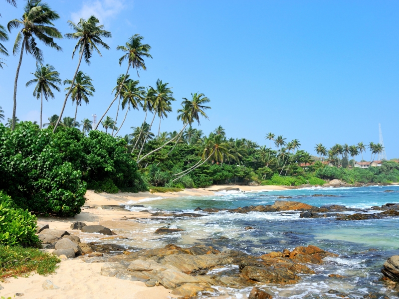 Sri Lanka Trip Packages