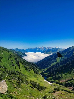 8 Days 7 Nights Kashmir Tour Package by Intro Holidays Tour and Travel  via Jammu