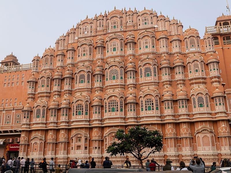 Heart-warming 6 Days 5 Nights Jaipur Forest Vacation Package