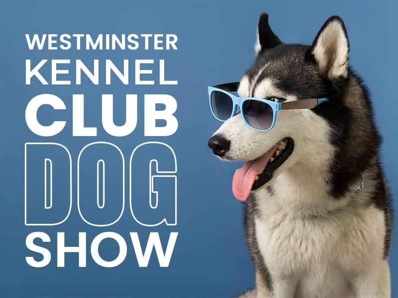 Westminster Kennel Club Dog Show