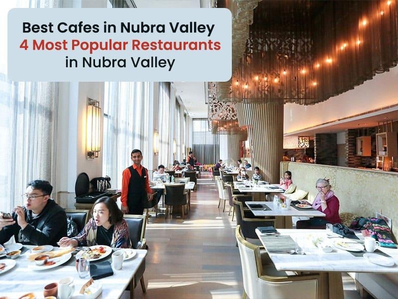Best cafes in Nubra Valley – 4 Most popular restaurants in Nubra Valley
