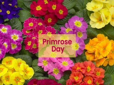 Primrose Day 2026