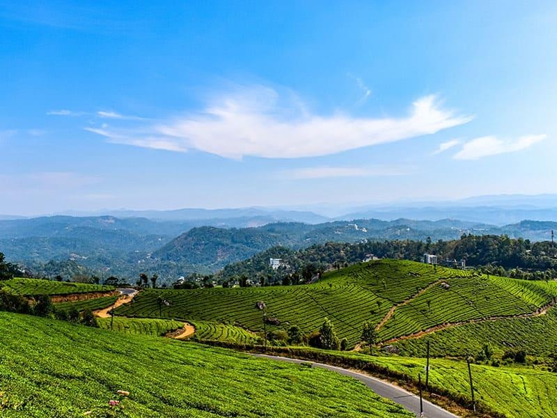 Pleasurable 4 Days 3 Nights kerala Holiday Package