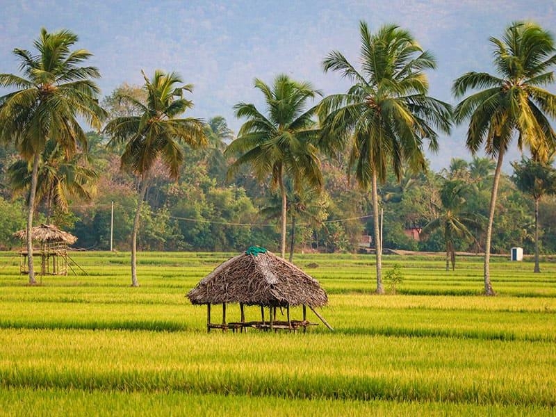 Ecstatic 3 Days Kerala, Alleppey and Delhi Tour Package