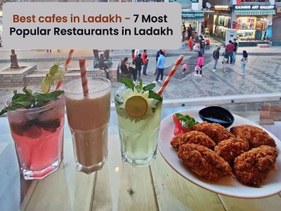 Best cafes in Ladakh - 7 Most popular restaurants in Ladakh