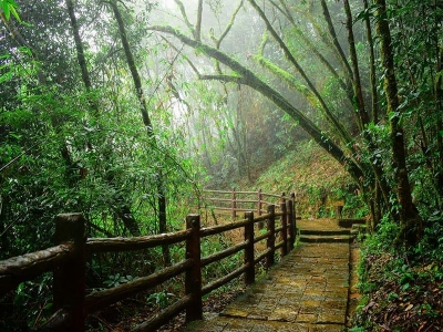 7 Days Shillong, Kaziranga National Park, Guwahati with Cherrapunjee Rides Trip Package