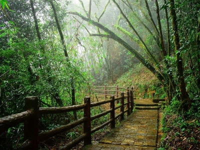 Meghalaya & Kaziranga 6 Days 5 Nights