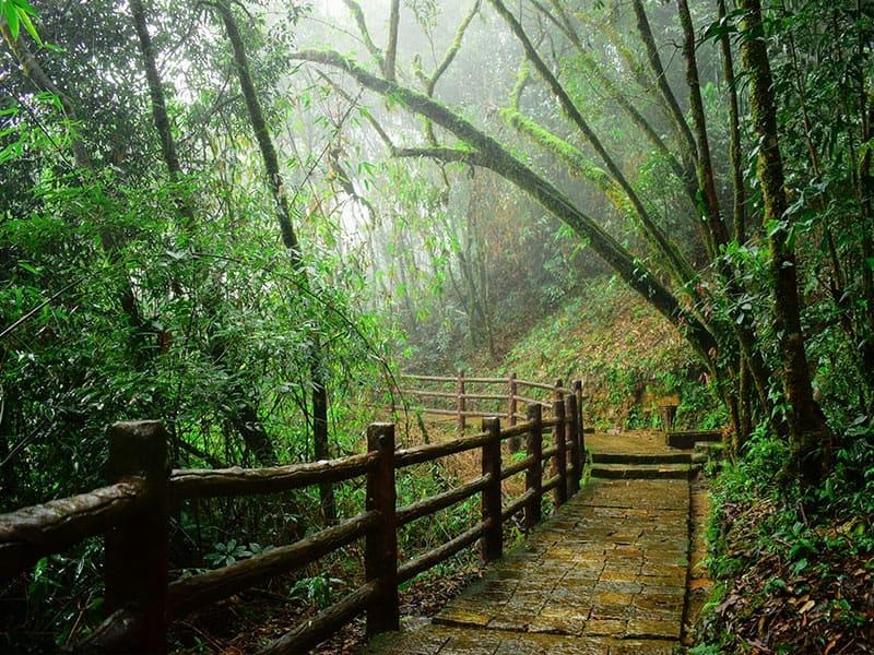 7 Days Shillong, Kaziranga National Park, Guwahati with Cherrapunjee Rides Trip Package