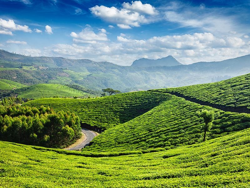 Heart-warming 2 Days Coonoor Trip Package