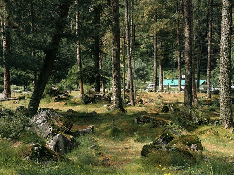 Ecstatic 2 Days Kasol Forest Holiday Package