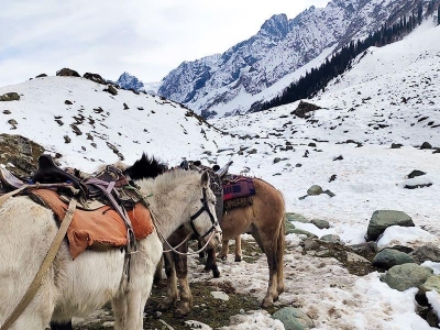 Kashmir 6Days 5 nights Group Tour package by MP tours and travel