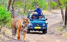 jim corbett