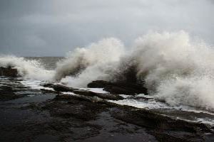 Pleasurable 4 Days Kaziranga National Park Trip Package