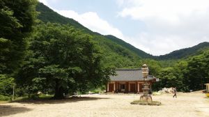 Geumsan gun