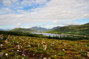Fort William