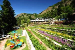 Nainital, Haridwar, Rishikesh and Mussoorie Tour 6 Days 5 Nights Package by MP Tours And Travel
