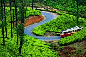 Alleppey Munnar Thekkday Kodaikanal Ooty Coimbatore 09 Days